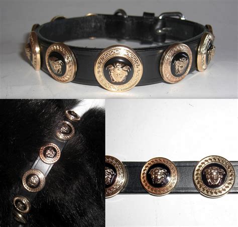 versace dog collars|Versace medusa dog collar.